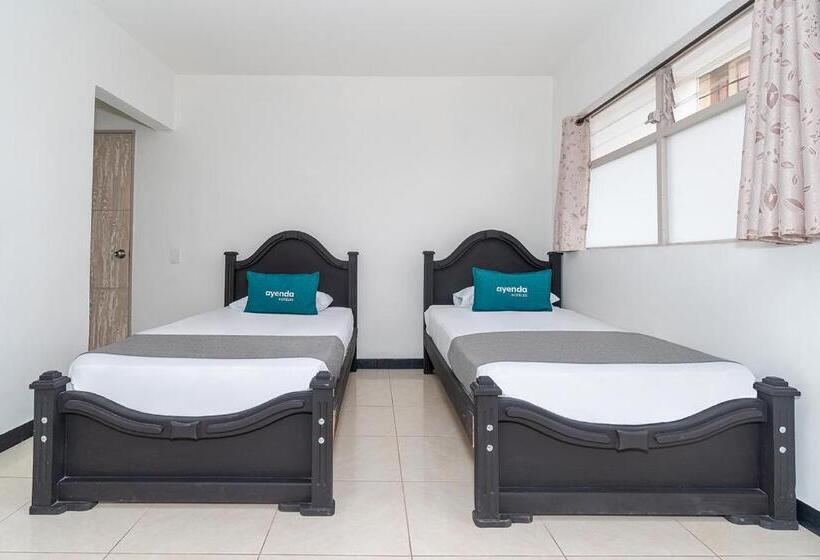 Номер Стандарт, Mazal Rionegro