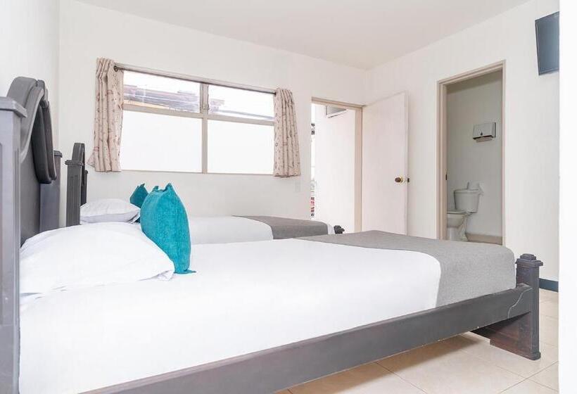 Номер Стандарт, Mazal Rionegro