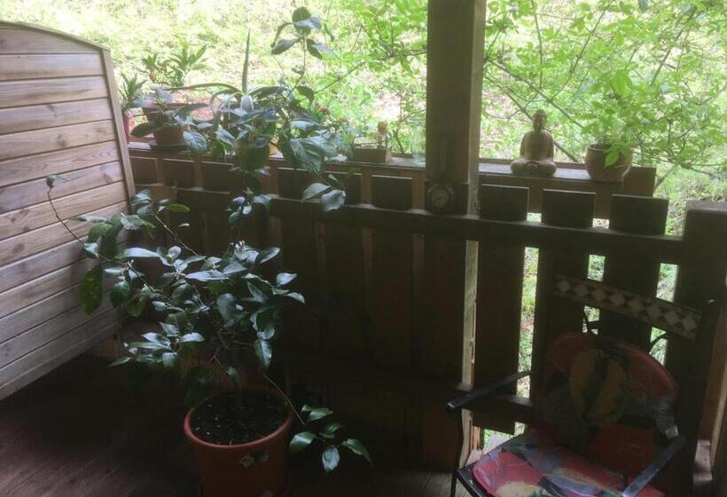 디럭스 룸, Pension Zur Freiheit