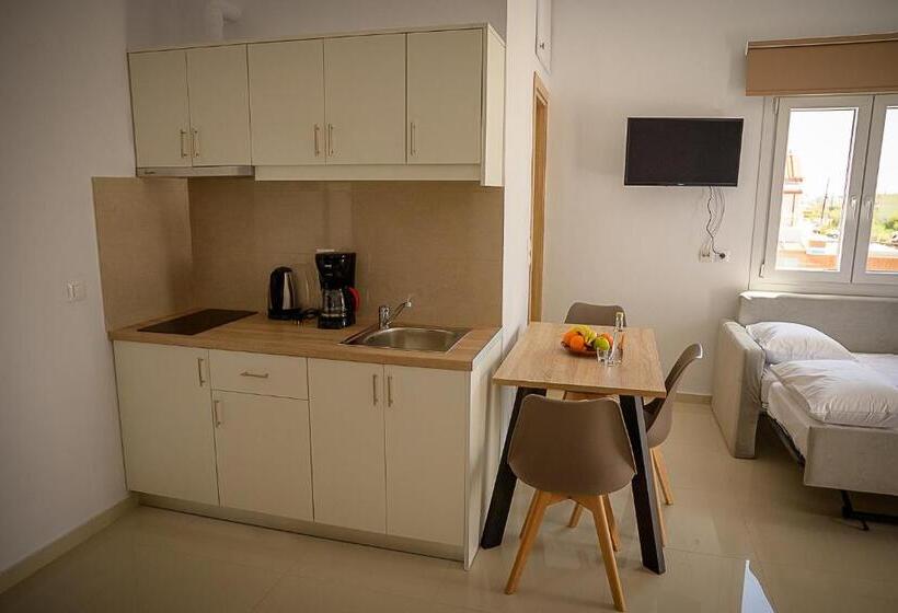 ビュー有りのスタンダードワンルーム, Sunsea Studios