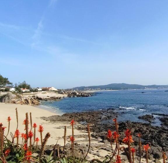 סטודיו משפחתי, Top Balea