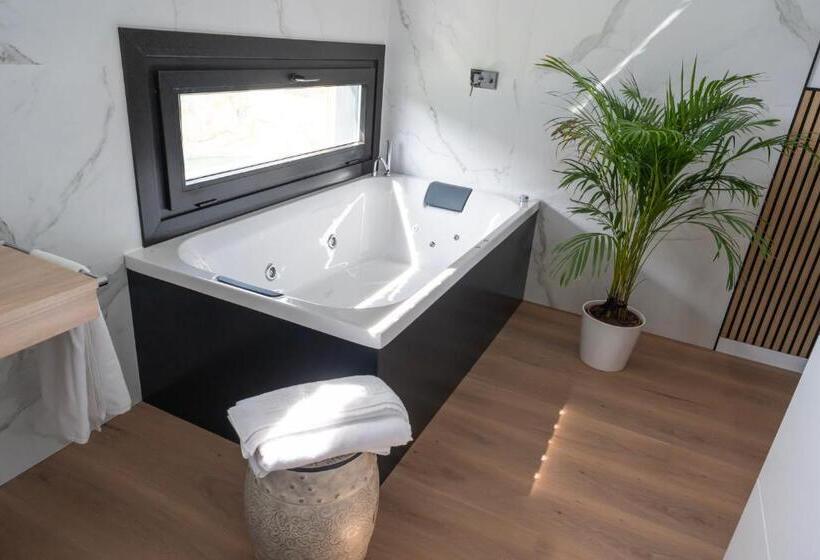 חדר סטודיו סטנדרד, Top Balea