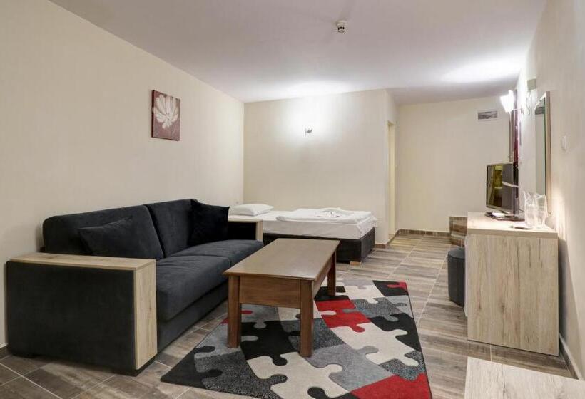 스탠다드 스튜디오, Family Hotel Jupiter