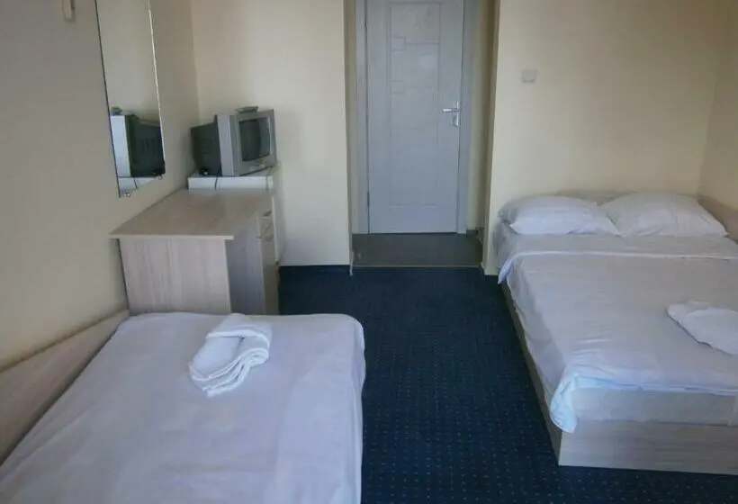 Standard Kolmen Hengen Huone, Family Hotel White House