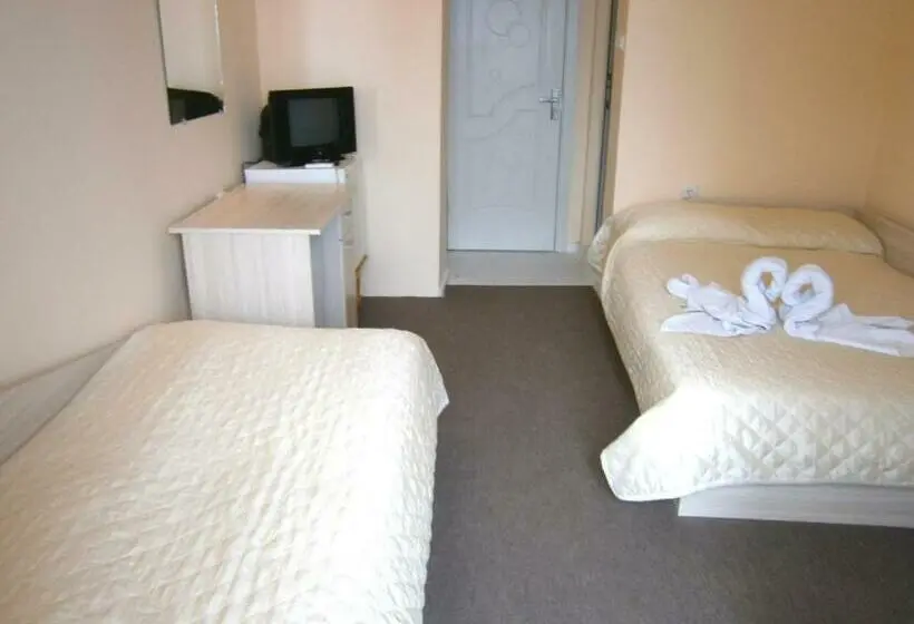 Standard Kolmen Hengen Huone, Family Hotel White House