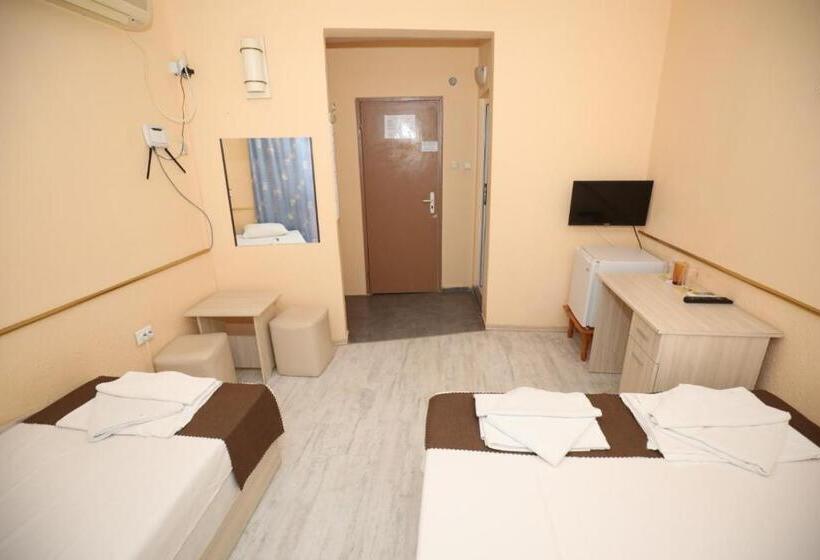غرفة قياسية, Family Hotel White House