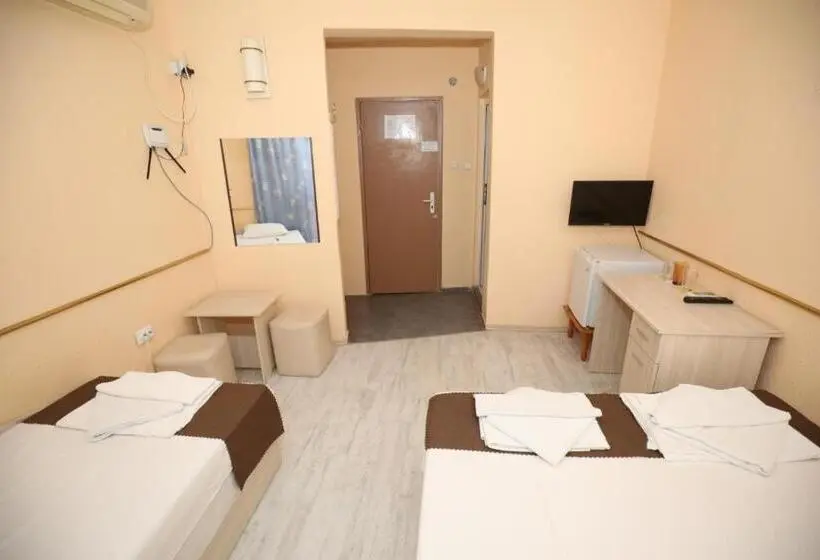 Standard-huone, Family Hotel White House