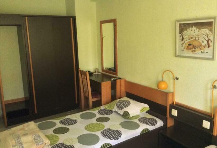 バルコニー付きスタンダードルーム, Balevurov