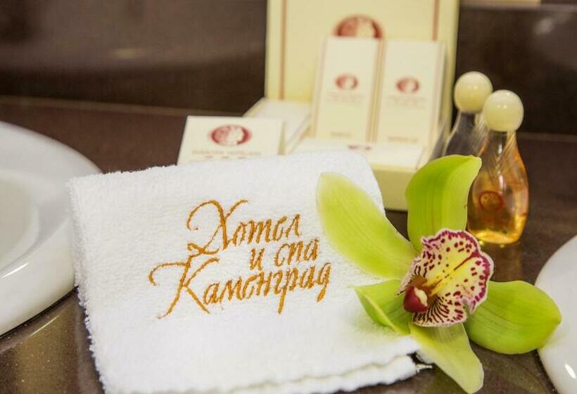 标准单人间, Kamengrad Hotel & Spa