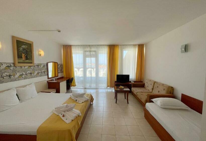 إستديو قياسى مزود بشرفة, Onyx