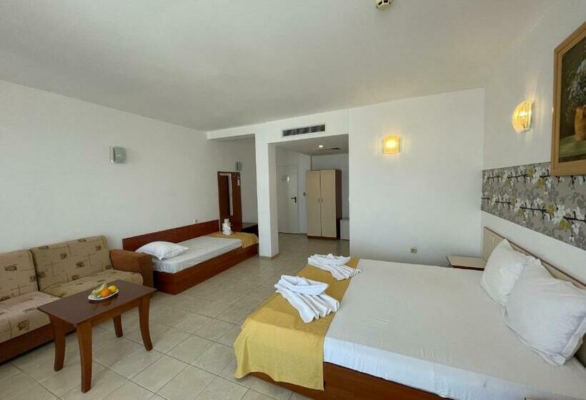 إستديو قياسى مزود بشرفة, Onyx