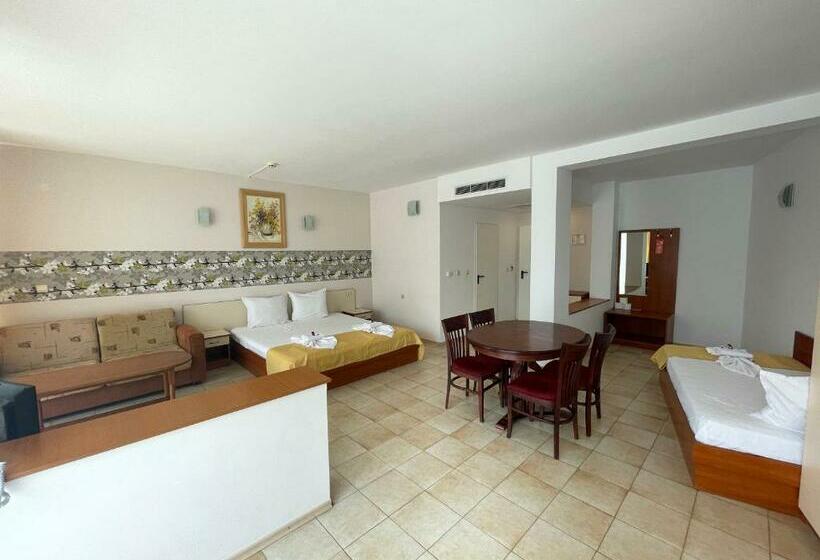 إستديو قياسى مزود بشرفة, Onyx