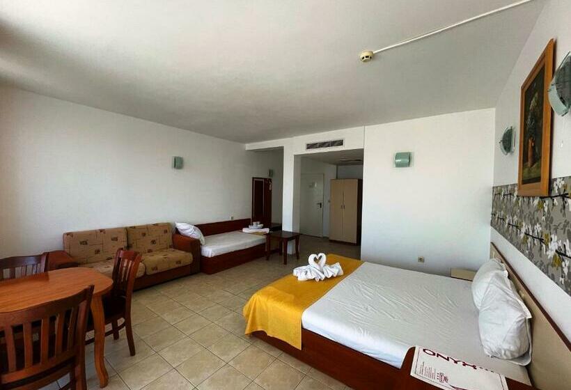 إستديو قياسى مزود بشرفة, Onyx