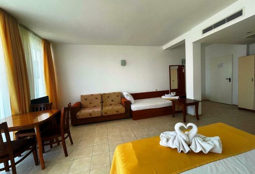 إستديو قياسى مزود بشرفة, Onyx