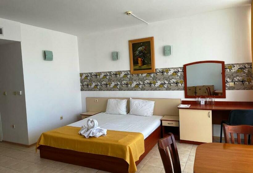 إستديو قياسى مزود بشرفة, Onyx