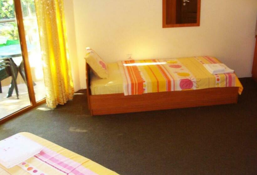 标准三人间, Sunny Paradise Family