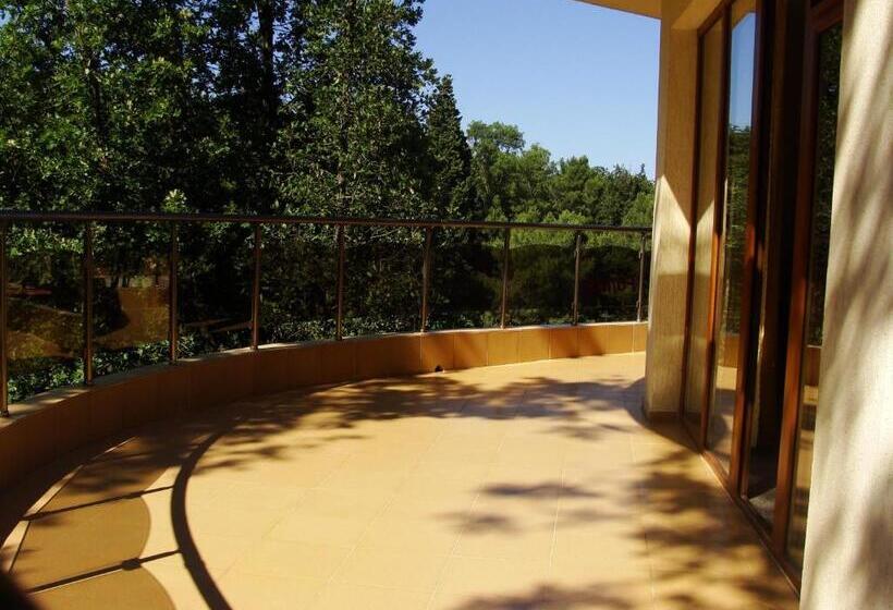 标准间, Sunny Paradise Family