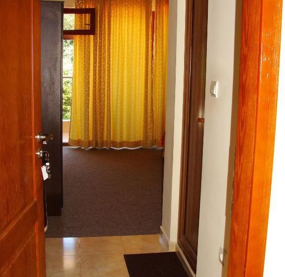 标准间, Sunny Paradise Family