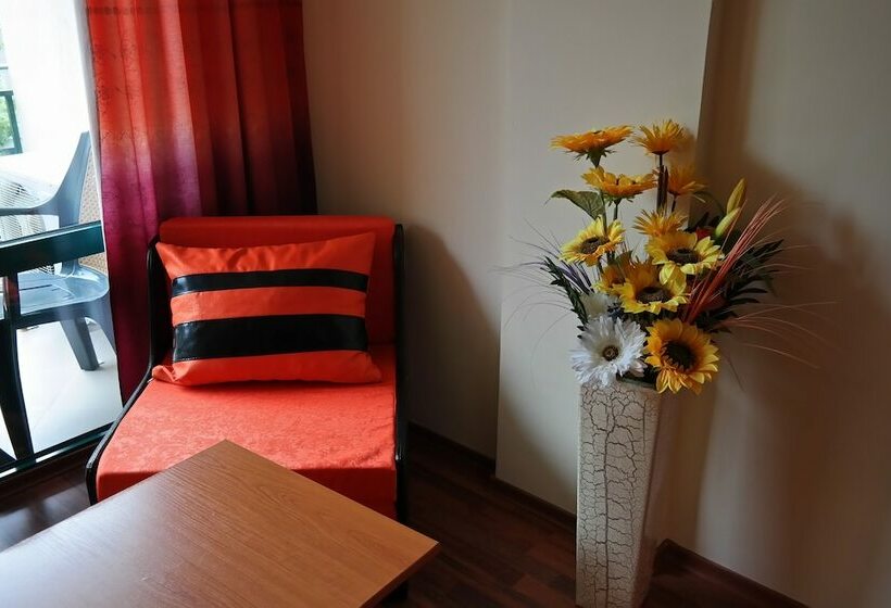 اتاق استاندارد با چشم‌انداز شهر, Tanya