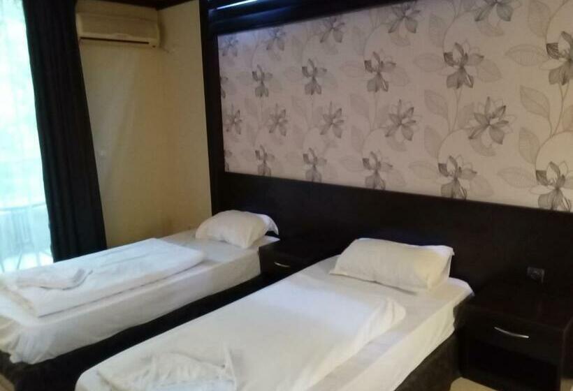 스탠다드 룸 풀장 전망, Park Hotel Stratesh