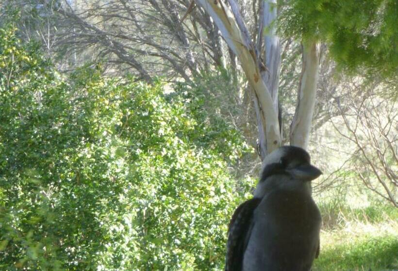 Apartament 1 Dormitori amb Vistes, Silverpoint Estate