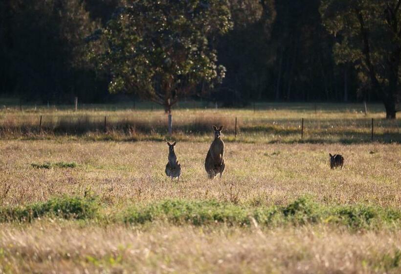 Apartament 1 Dormitori amb Vistes, Silverpoint Estate