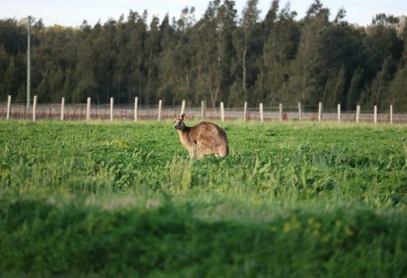 Apartament 1 Dormitori amb Vistes, Silverpoint Estate