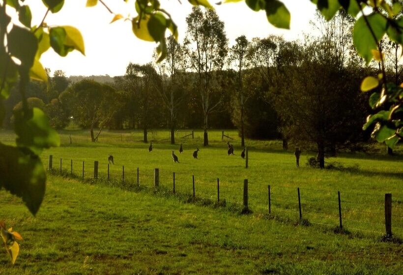 Cabanya, Silverpoint Estate
