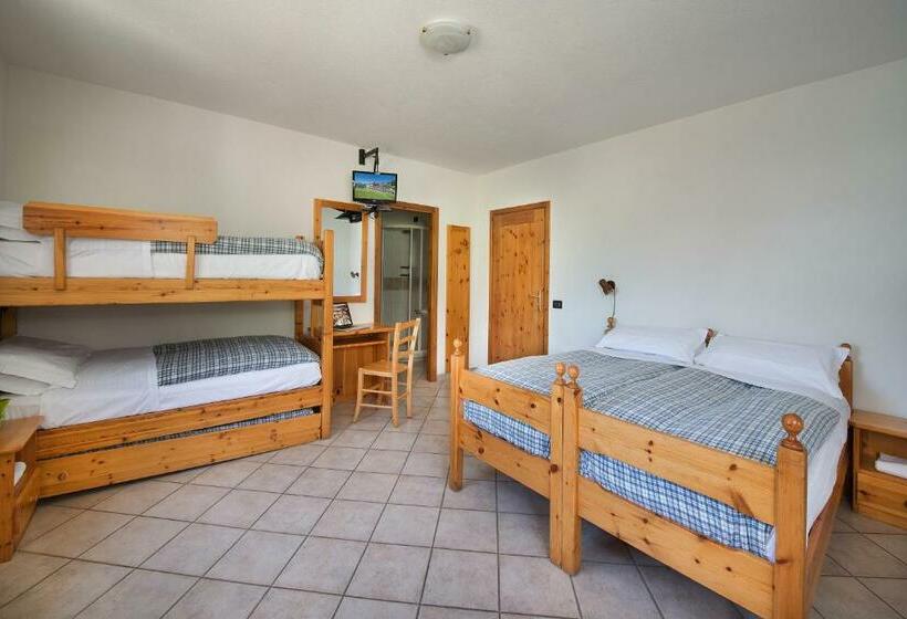 اتاق استاندارد چهار تخته, Gallo Cedrone