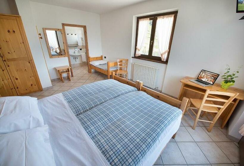 اتاق استاندارد چهار تخته, Gallo Cedrone