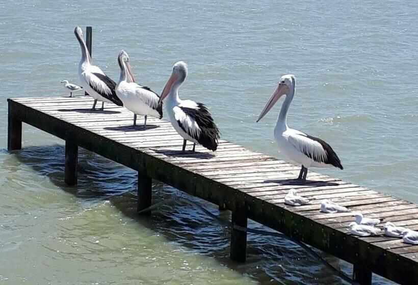 标准间, Meningie Waterfront Motel