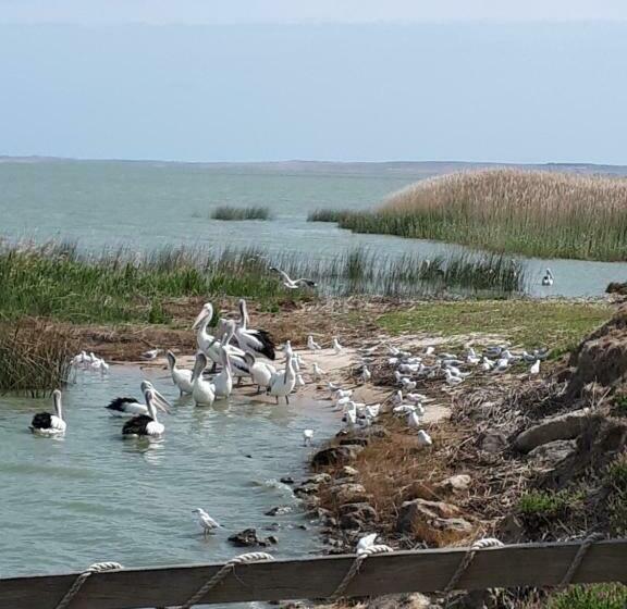 标准间带湖景, Meningie Waterfront Motel