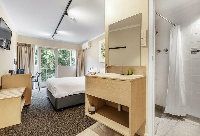 חדר סטודיו סטנדרד, Nightcap At Findon