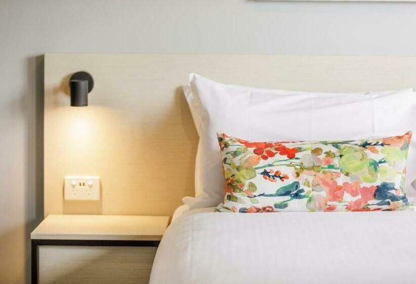 חדר סטודיו סטנדרד, Nightcap At Findon