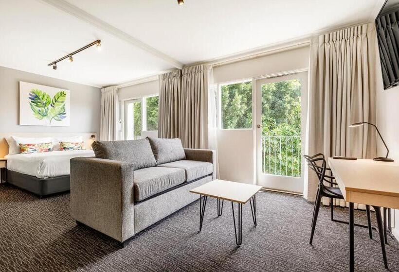 חדר סטודיו סטנדרד, Nightcap At Findon