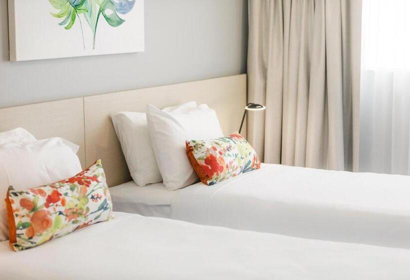 חדר סטודיו סטנדרד, Nightcap At Findon