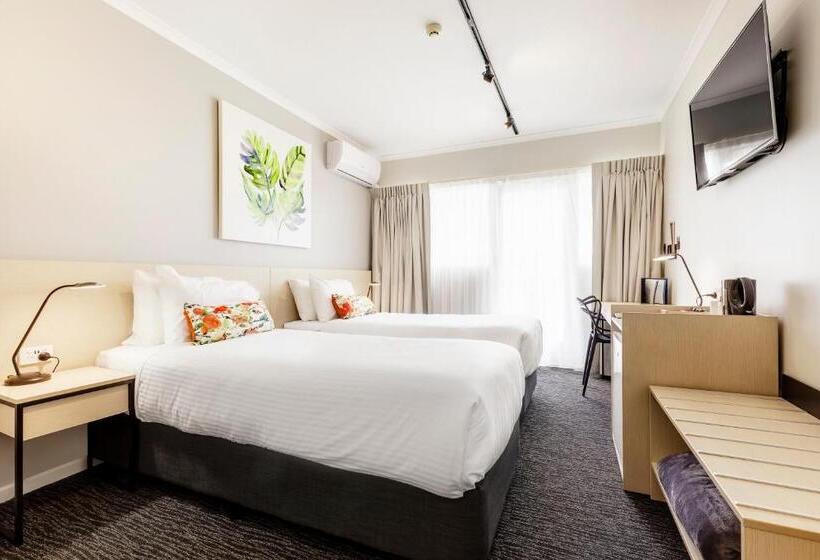 חדר סטודיו סטנדרד, Nightcap At Findon