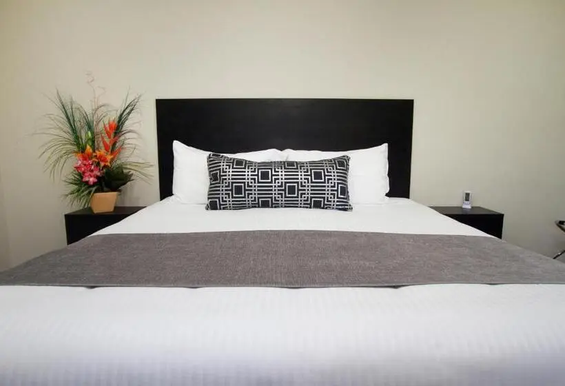 Executive-huone King-vuode, Twofold Bay Motor Inn