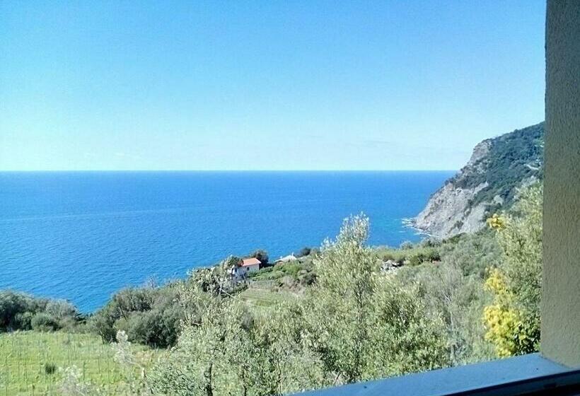 מיטה בחדר משותף, Perla Del Levante Hostel