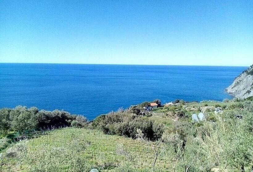 חדר סטנדרט לארבעה נוף לים, Perla Del Levante Hostel