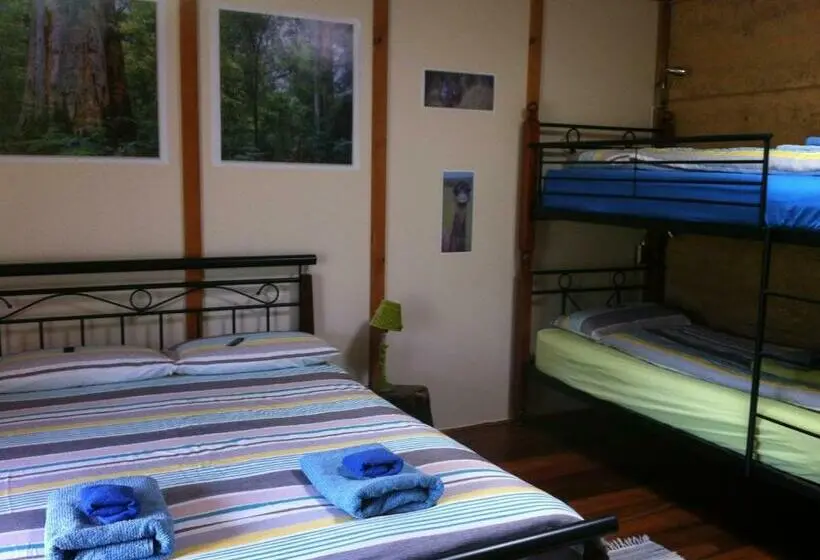 Quarto Familiar, Windrose B&b