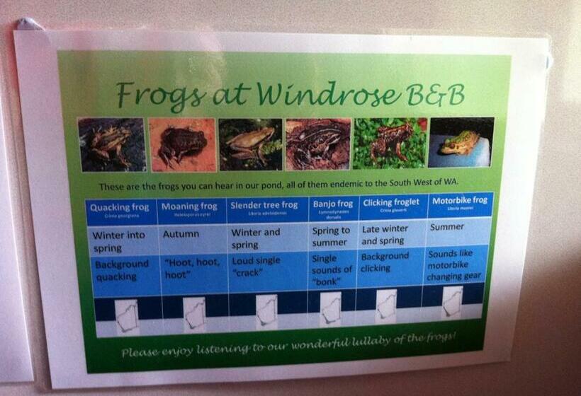 اتاق خانوادگی, Windrose B&b