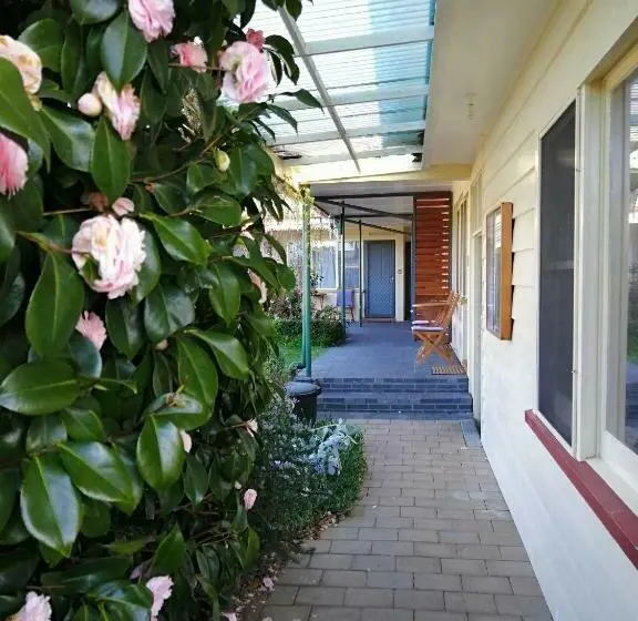 スタンダード４人部屋, Wintersun Gardens Motel