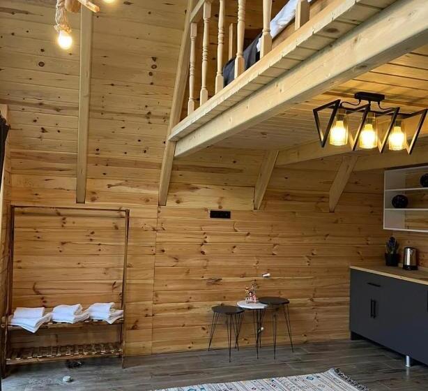 חדר סטנדרט נוף לגינה, Aron Bungalov