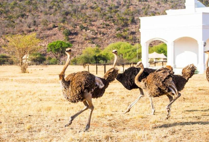 マウンテンビュースタンダードルーム, Leeuwenhof Country Lodge & Garden Spa