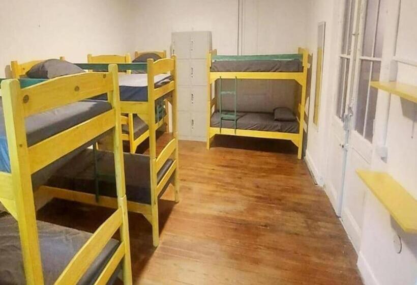 共用房间的床, Palta Hostel