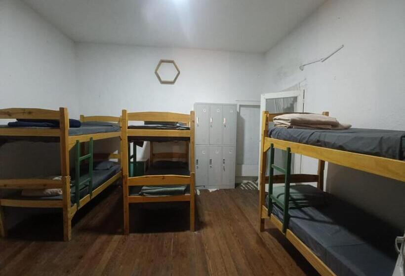 共用房间的床, Palta Hostel