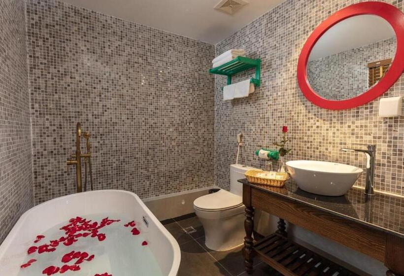 اتاق سوپریور, Hôteldesapa