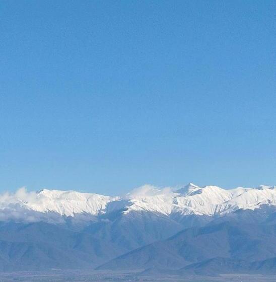 اتاق استاندارد با بالکن, Paradiso