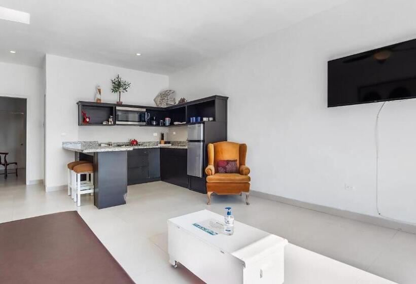 스위트, Jr Suite 6 Playa Arcangel